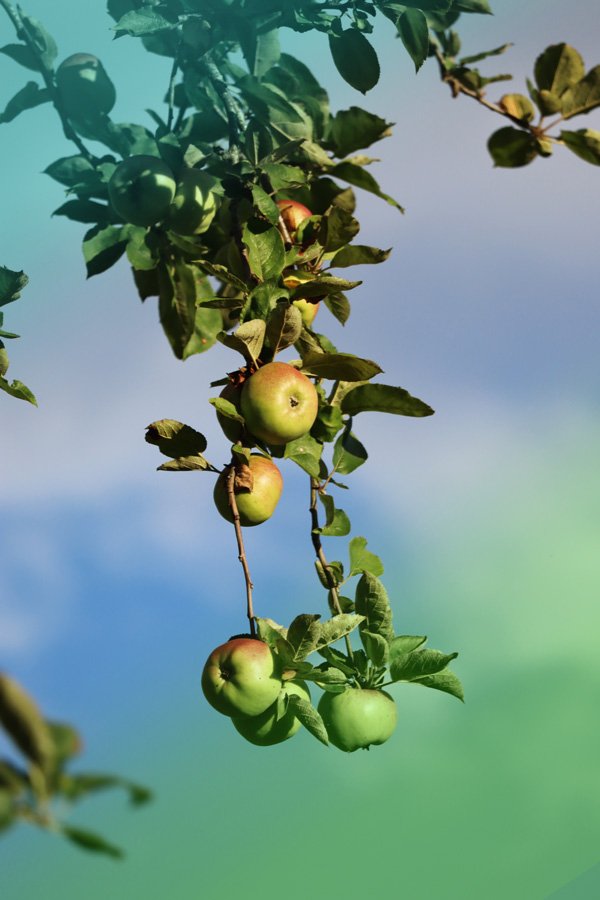 Hotel Eladia - Photo 2